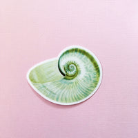 Green seashell sticker on pink background, Beachy realistic seashell sticker