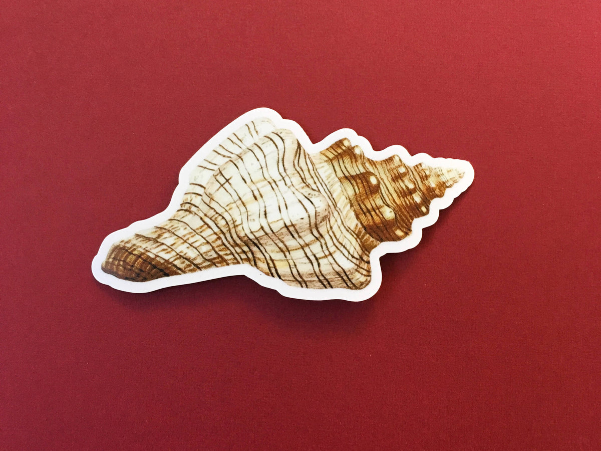 Vintage Vinyl Stickers for Ocean Lovers - Sea Shell Sticker – Pergamo ...