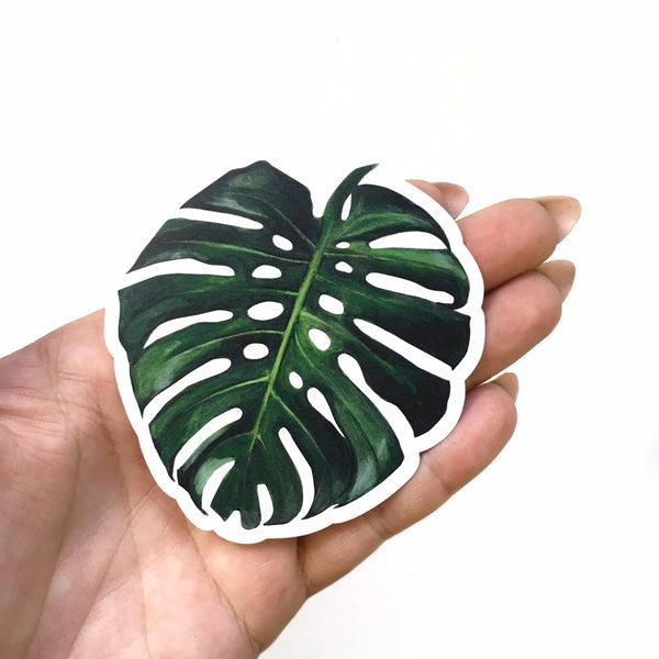 monstera sticker Monstera Vinyl Sticker