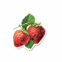 Strawberry Sticker, Vintage Fruit Decal Pack, Flower Vinyl Stickers Laptop, Berry Plant Decals, Macbook Junk Journal Sticker by Pergamo Paper Goods www.pergamopapergoods.com