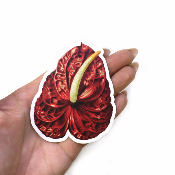 Red Anthurium Stickers, Vinyl Flowers Laptop Sticker Pack, Houseplants Decal Illustration Decals, Plant Mom Gifts, Tropical Plants Ephemera by Pergamo Paper Goods www.pergamopapergoods.com.