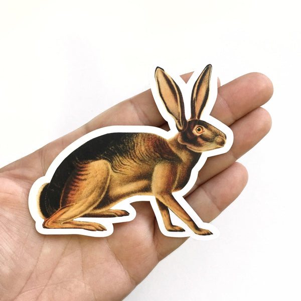 Stickers Pack Of Rabbits