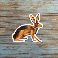 California Hare Sticker Pack, Naturalistic Vintage Vinyl Stickers, Rabbit Spooky Animal Decal, Laptop Decals, Antique Natural Durable