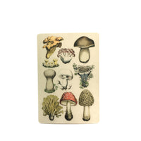 Vintage Mushrooms Sticker, Antique Vinyl Stickers Laptop, Retro Bumper Decals, Outdoor Car Yeti Phone Decal, Waterbottle Florida Botanical